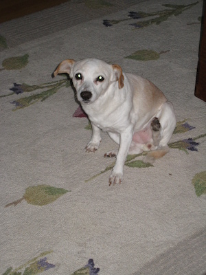 Emily (02-05-2011 07:04)