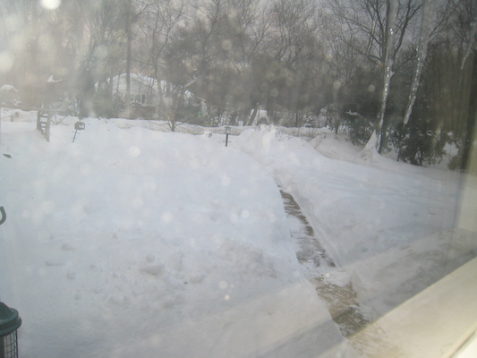 Snow (02-05-2011 07:04)