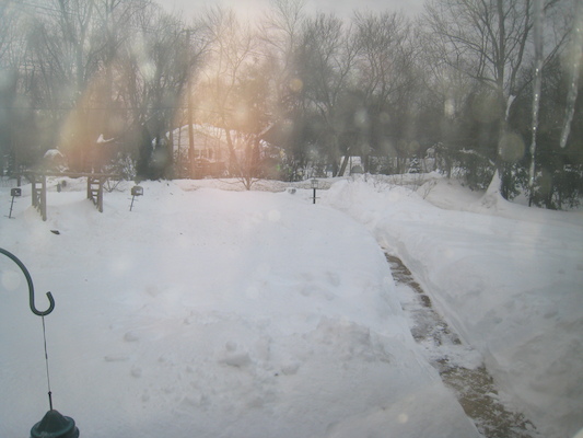 Snow (02-05-2011 07:04)