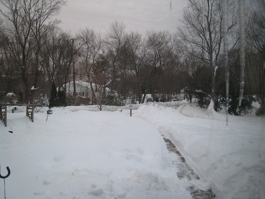 Snow (02-05-2011 07:04)