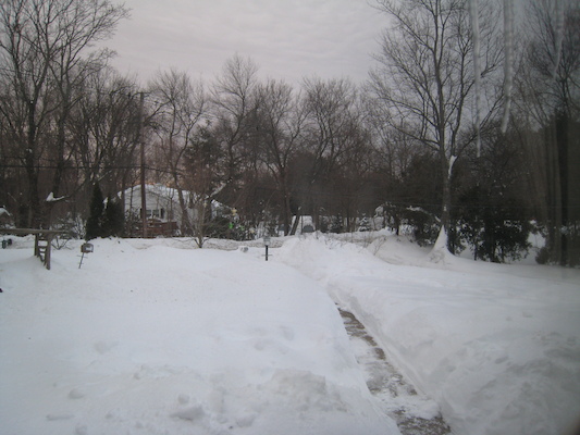 Snow (02-05-2011 07:04)