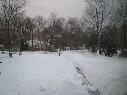 Snow (02-05-2011 07:04)
