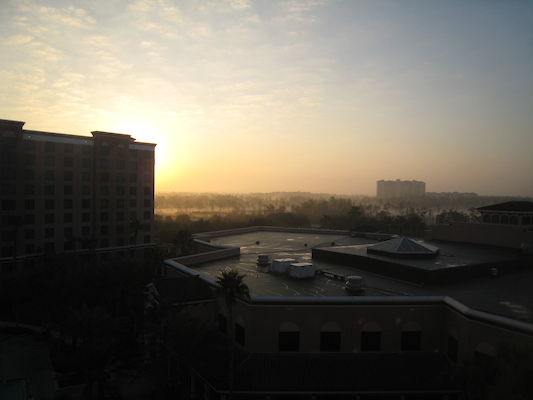 View from the room at the Caribe Royale (02-24-2011 07:19)