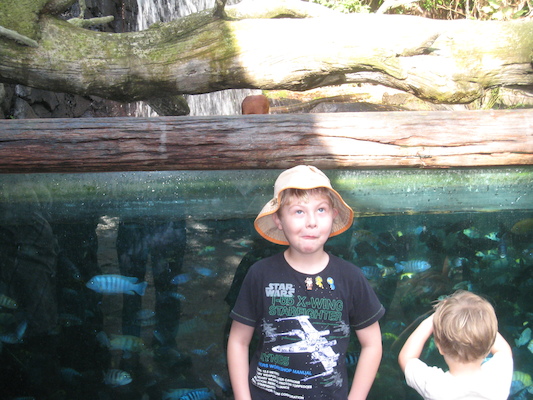 Tim at the Animal Kingdom (02-24-2011 09:17)