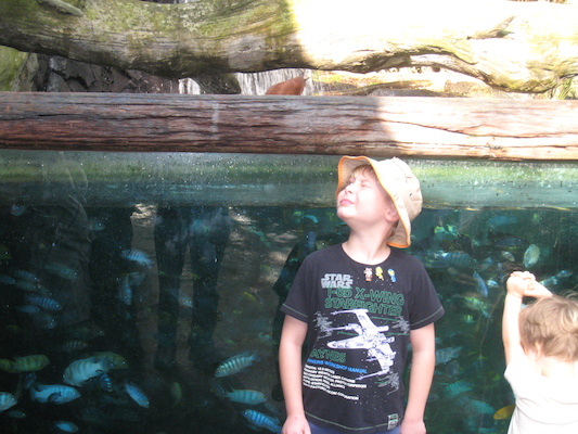 Tim at the Animal Kingdom (02-24-2011 09:17)