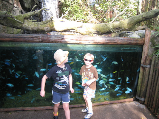Tim and Cole at the Animal Kingdom (02-24-2011 09:18)