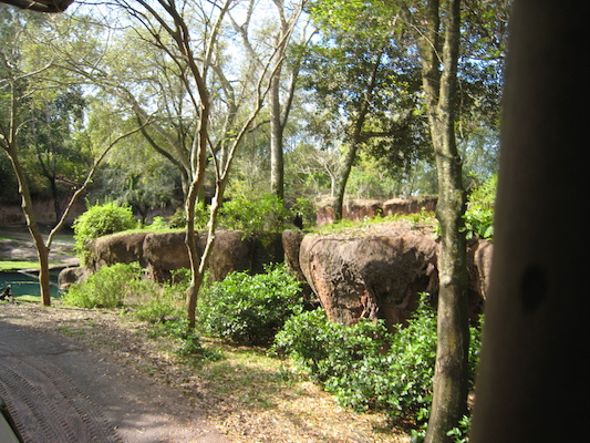 The safari ride by Tim (02-24-2011 10:07)