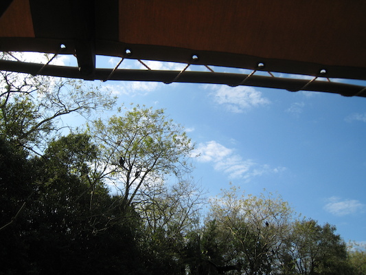 The safari ride by Tim (02-24-2011 10:09)