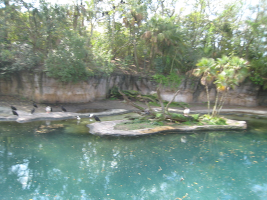 The safari ride by Tim (02-24-2011 10:09)