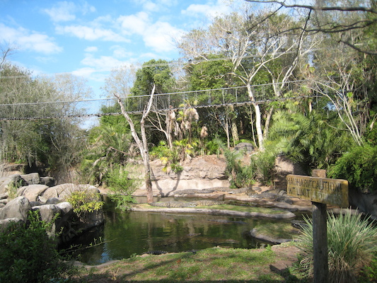 The safari ride by Tim (02-24-2011 10:10)