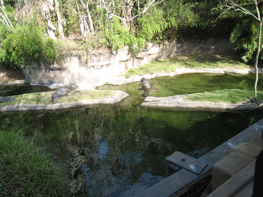 The safari ride by Tim (02-24-2011 10:10)