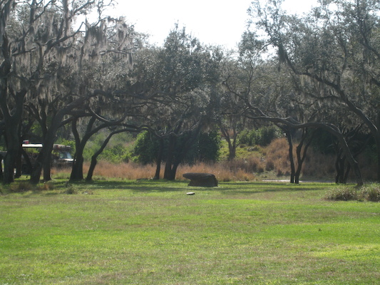 The safari ride by Tim (02-24-2011 10:13)