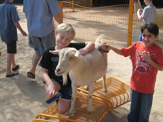 Tim and Cole petting a goat (02-24-2011 11:17)
