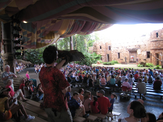 Bird show (02-24-2011 13:21)
