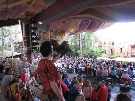 Bird show (02-24-2011 13:21)