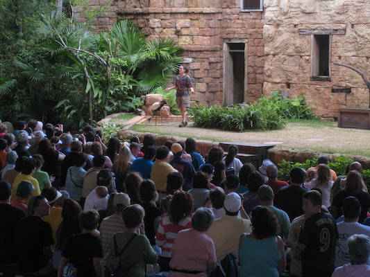 Bird show (02-24-2011 13:23)