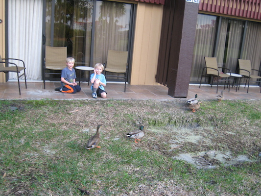 Tim and Cole with the ducks at the Polynesian (02-26-2011 17:17)