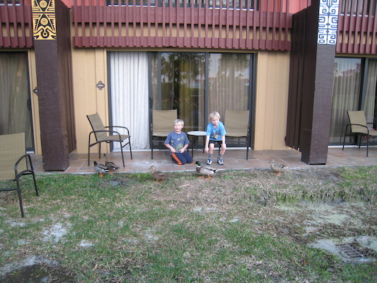 Tim and Cole with the ducks at the Polynesian (02-26-2011 17:17)