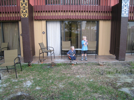 Tim and Cole with the ducks at the Polynesian (02-26-2011 17:17)