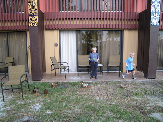 Tim and Cole with the ducks at the Polynesian (02-26-2011 17:17)