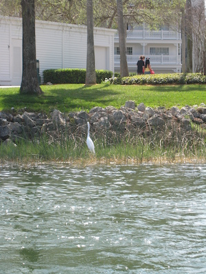 On the ferry from the MK to Polynesian (02-27-2011 13:04)
