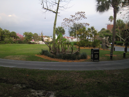 View from the room at the Poly (03-01-2011 07:02)