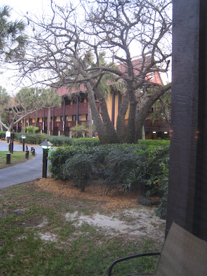 View from the room at the Poly (03-01-2011 07:06)