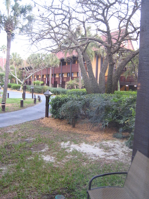 Panorama from the room at the Polynesian (03-01-2011 07:07)