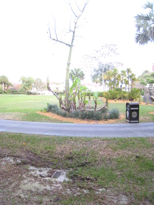 Panorama from the room at the Polynesian (03-01-2011 07:07)