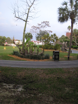 Panorama from the room at the Polynesian (03-01-2011 07:08)