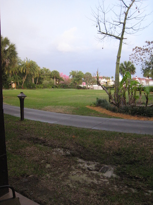 Panorama from the room at the Polynesian (03-01-2011 07:08)