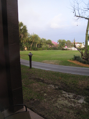 Panorama from the room at the Polynesian (03-01-2011 07:08)