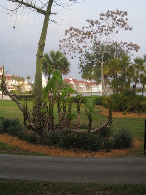 View from the room at the Poly (03-01-2011 07:08)