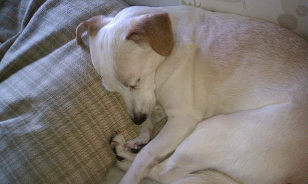 Emily (07-30-2010 18:15)