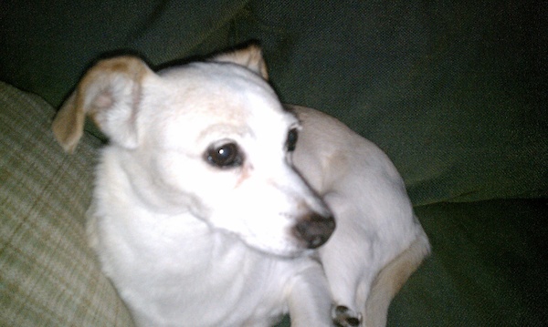 Emily (07-30-2010 18:39)