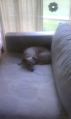 Emily (09-04-2010 09:03)