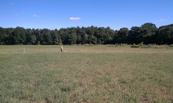 Tim, Cole, Emily and Xine out walking (09-05-2010 09:59)
