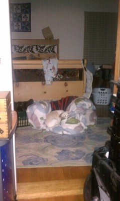 Spot the Emily (09-13-2010 19:15)