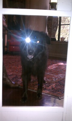 Tammy at the Athenaeum (10-16-2010 12:58)