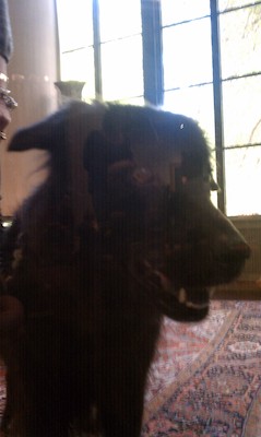 Tammy at the Athenaeum (10-16-2010 12:59)