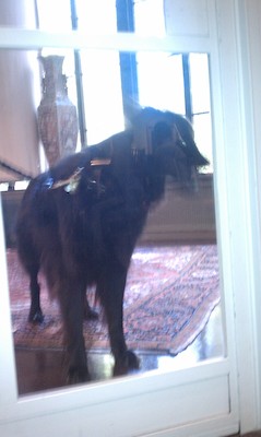 Tammy at the Athenaeum (10-16-2010 12:59)