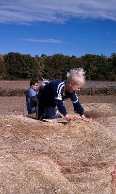 Cole in the hay maze (10-23-2010 13:47)