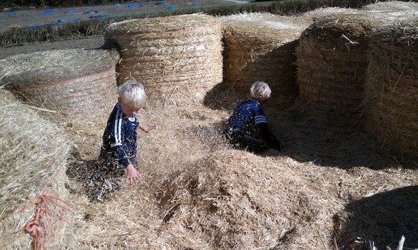Cole and Tim in the hay maze (10-23-2010 13:48)