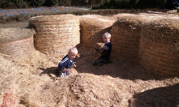 Cole and Tim in the hay maze (10-23-2010 13:48)