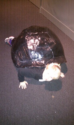 Tim turtle (12-28-2010 10:50)