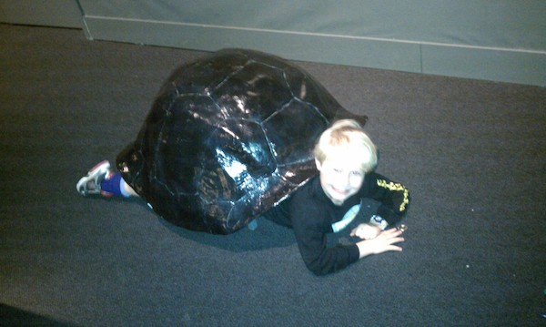 Tim turtle (12-28-2010 10:50)