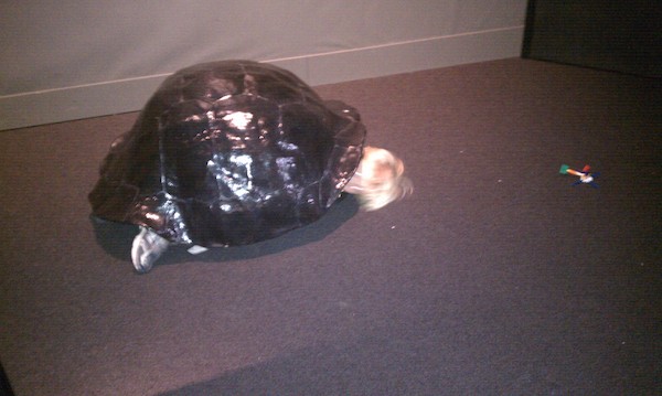 Tim turtle (12-28-2010 10:50)