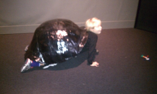 Tim turtle (12-28-2010 10:51)