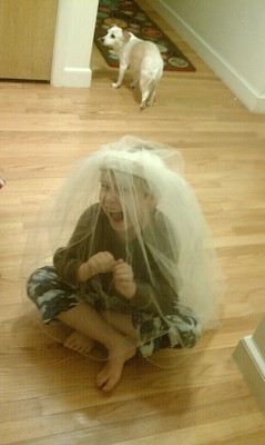 Tim in his invisibility cloak hiding from Emily (01-11-2011 19:49)