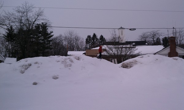 Cole on the snowy Beford Common (02-13-2011 11:00)
